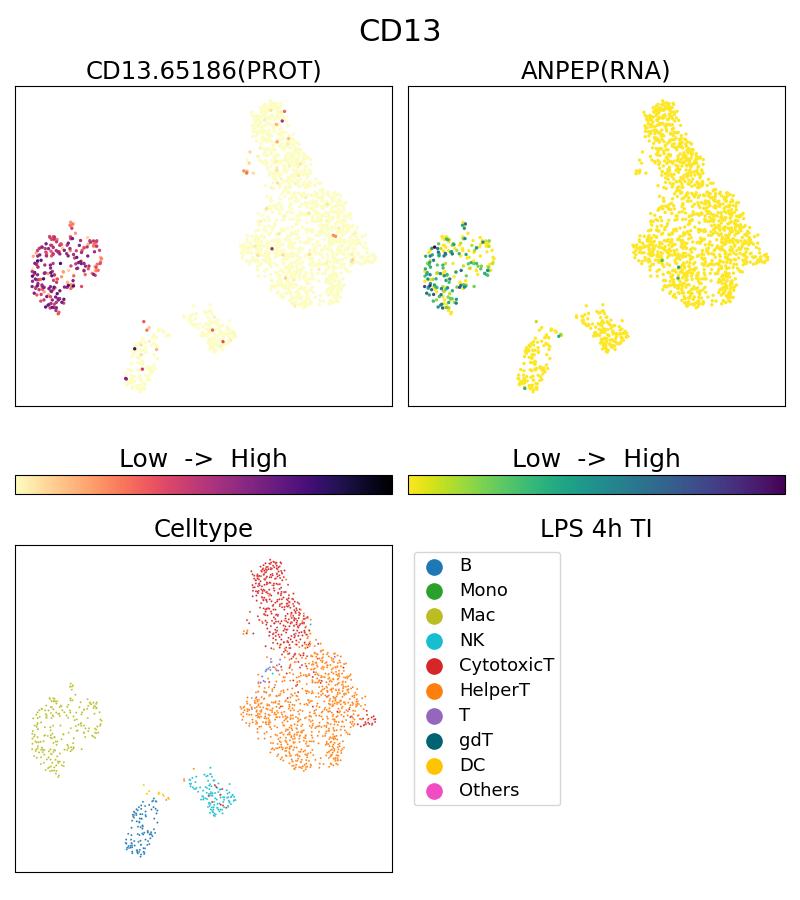 Single Cell Sequencing experiment G65186-1-5C on PBMC treated with 4hr LPS + TI