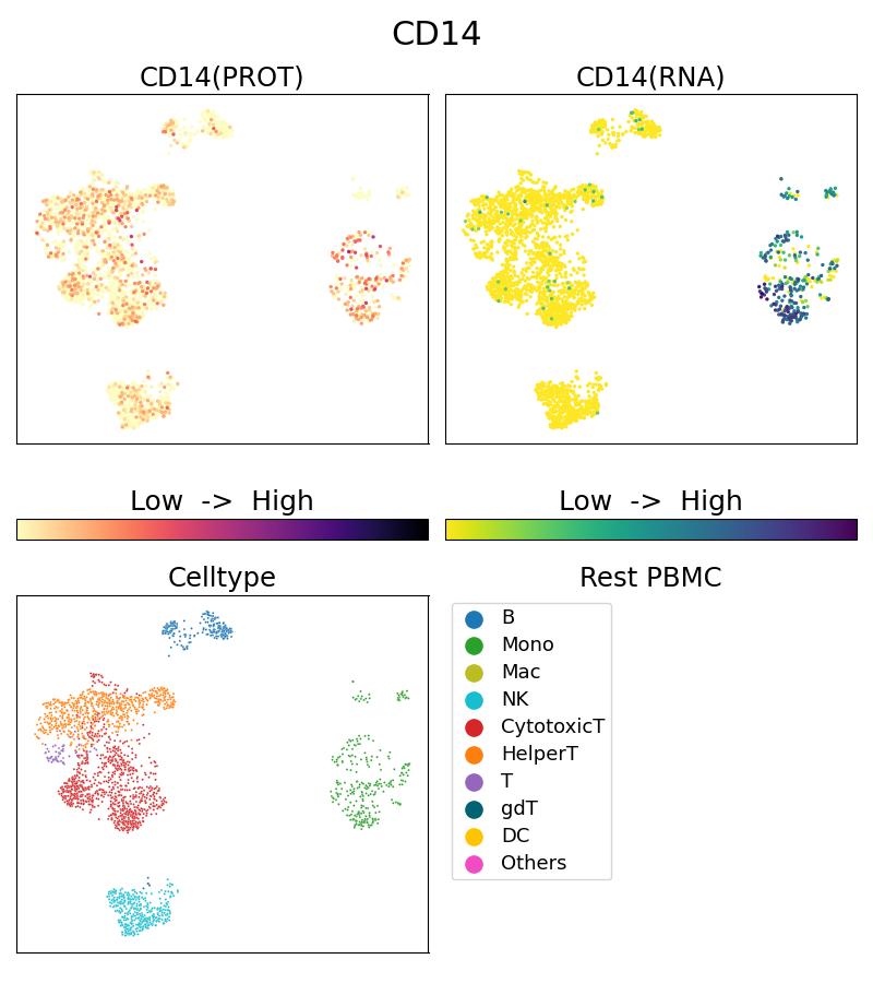 Single Cell Sequencing experiment G60253-1-5C on Resting PBMC