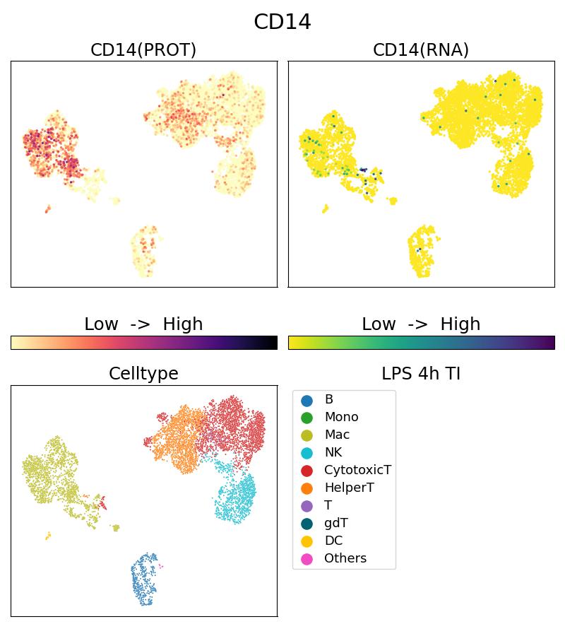 Single Cell Sequencing experiment G60253-1-5C on PBMC treated with 4hr LPS + TI