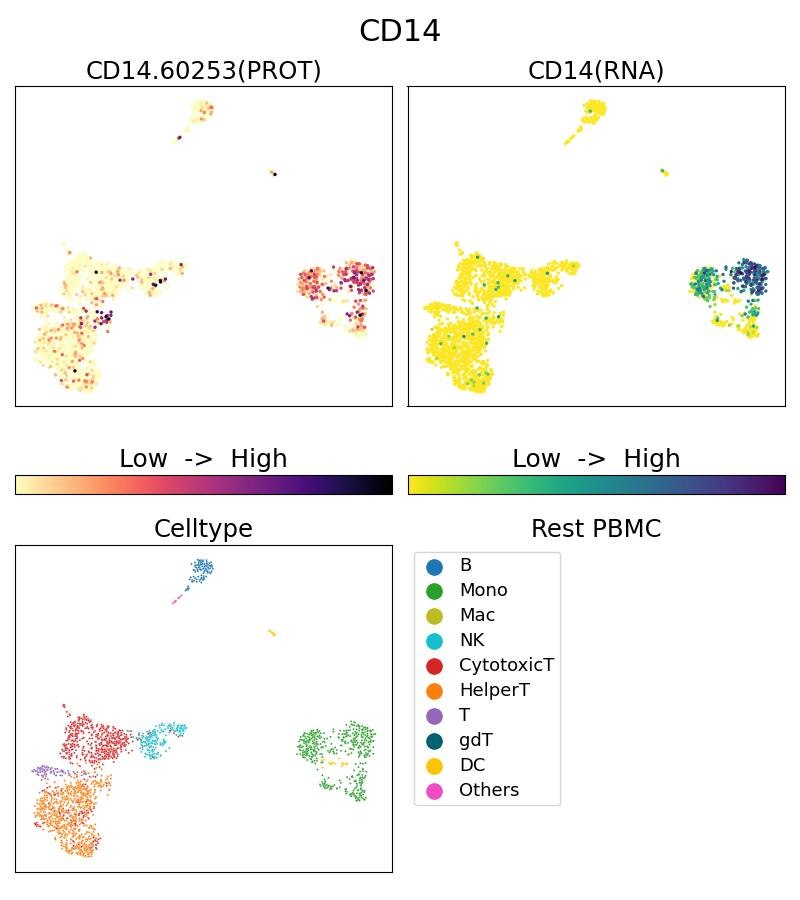 Single Cell Sequencing experiment G60253-1-5C on Resting PBMC