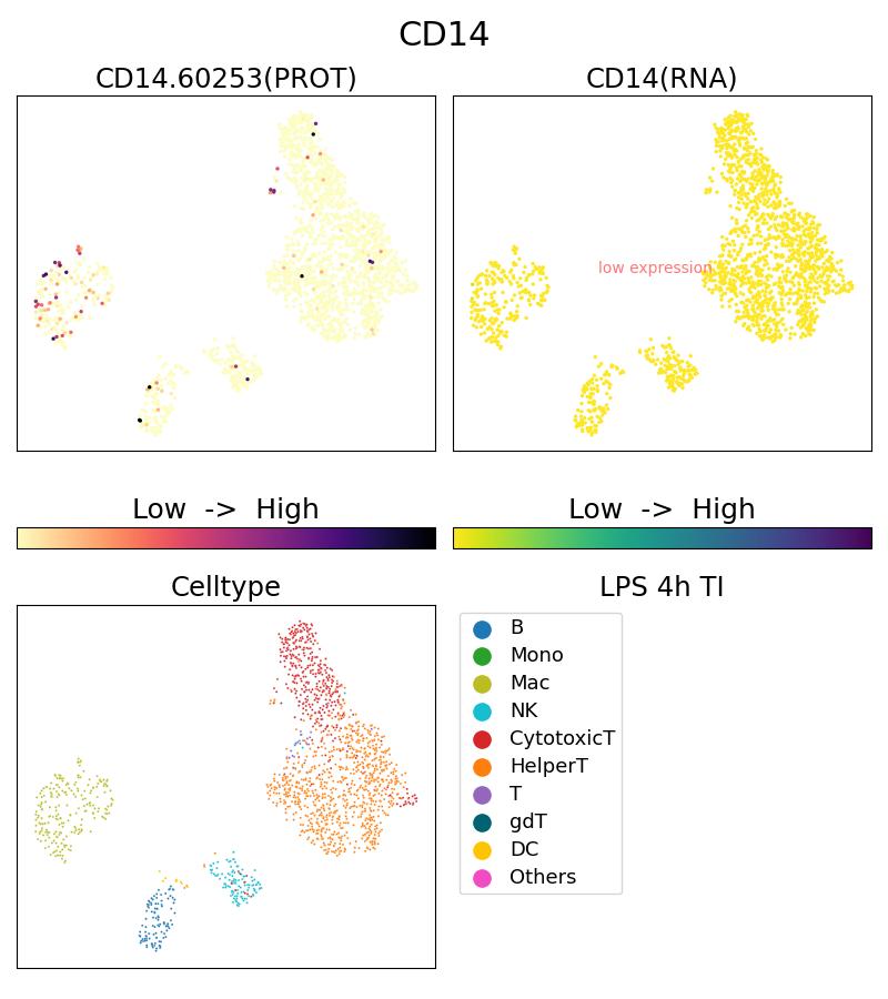 CD14