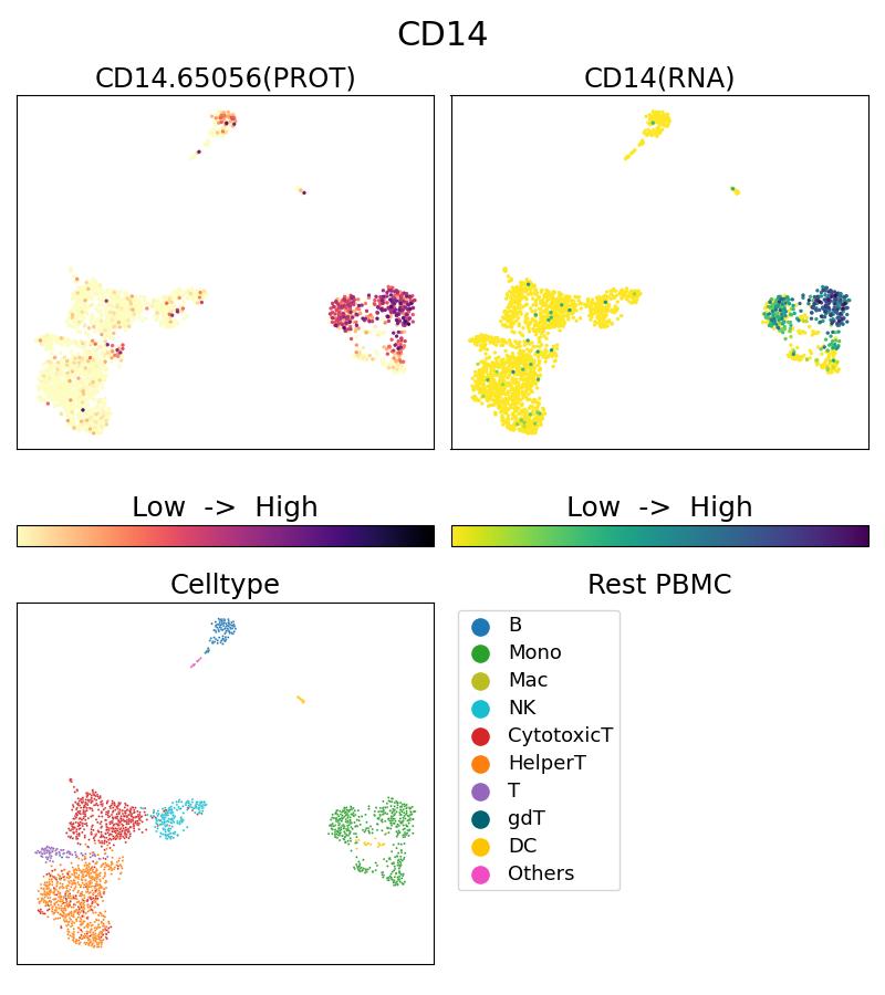 Single Cell Sequencing experiment G65056-1-5C on Resting PBMC