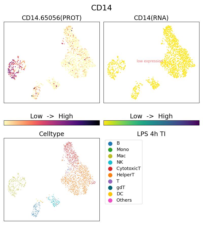 Single Cell Sequencing experiment G65056-1-5C on PBMC treated with 4hr LPS + TI