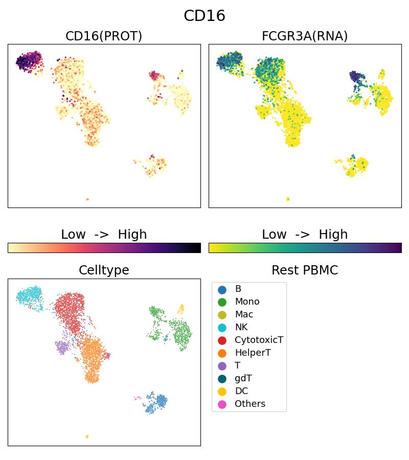 Single Cell Sequencing experiment G65090-1-5C on Resting PBMC