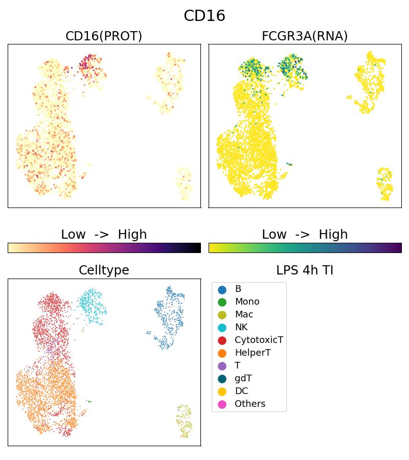 Single Cell Sequencing experiment G65090-1-5C on PBMC treated with 4hr LPS + TI