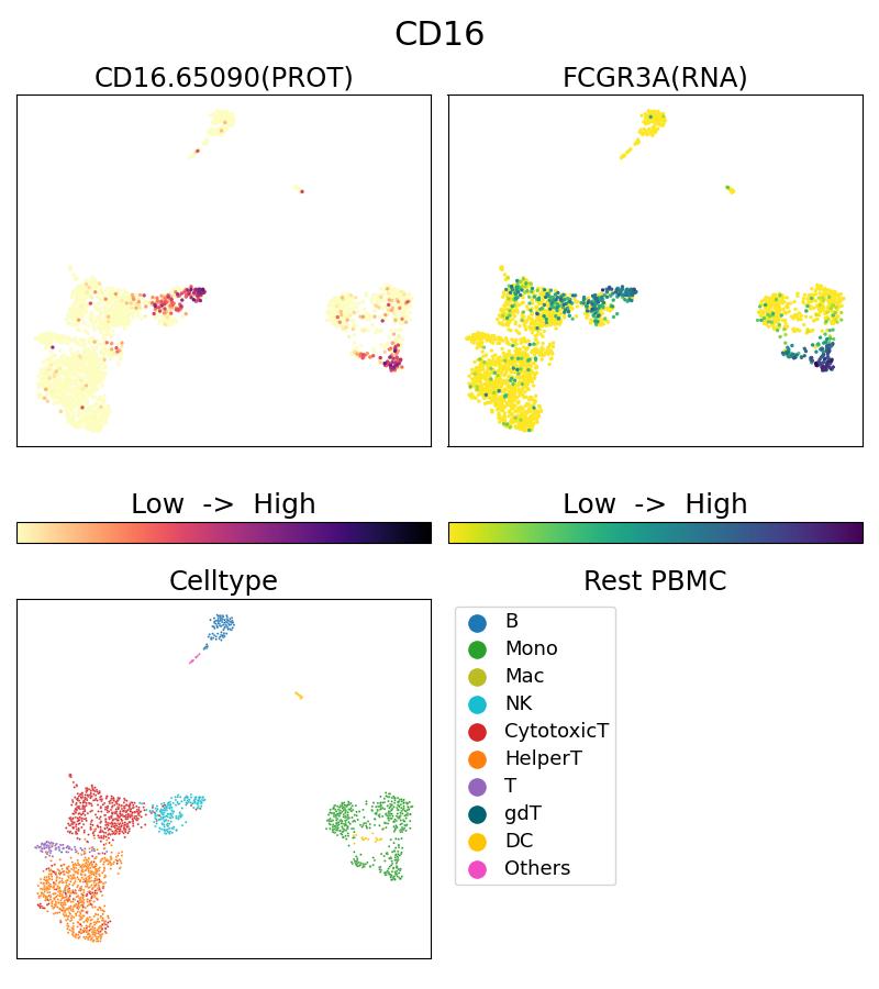 Single Cell Sequencing experiment G65090-1-5C on Resting PBMC