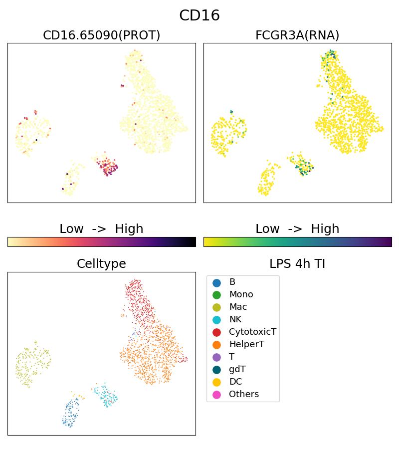 Single Cell Sequencing experiment G65090-1-5C on PBMC treated with 4hr LPS + TI