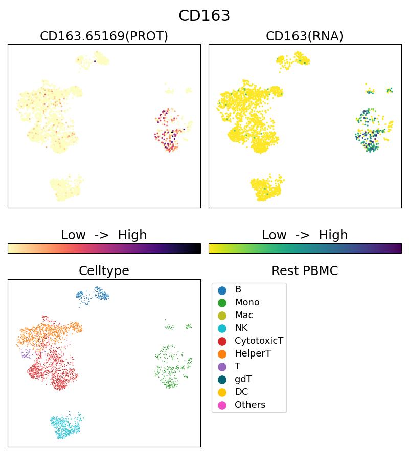 Single Cell Sequencing experiment G65169-1-5C on Resting PBMC