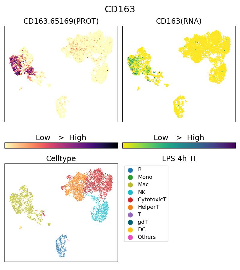 Single Cell Sequencing experiment G65169-1-5C on PBMC treated with 4hr LPS + TI