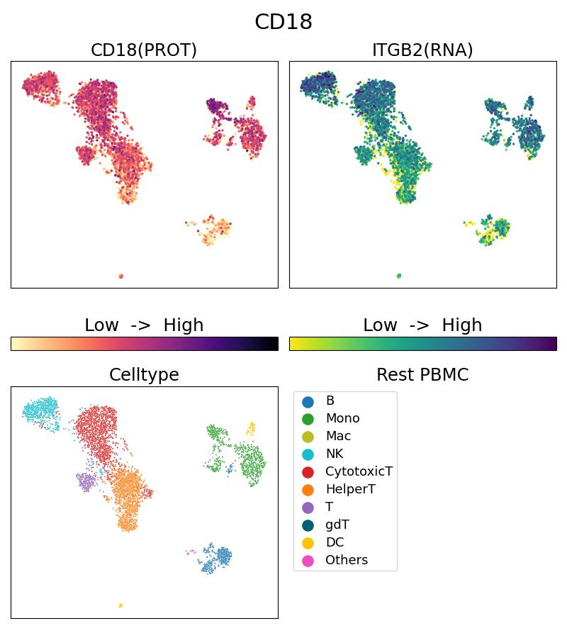 Single Cell Sequencing experiment G65190-1-5C on Resting PBMC