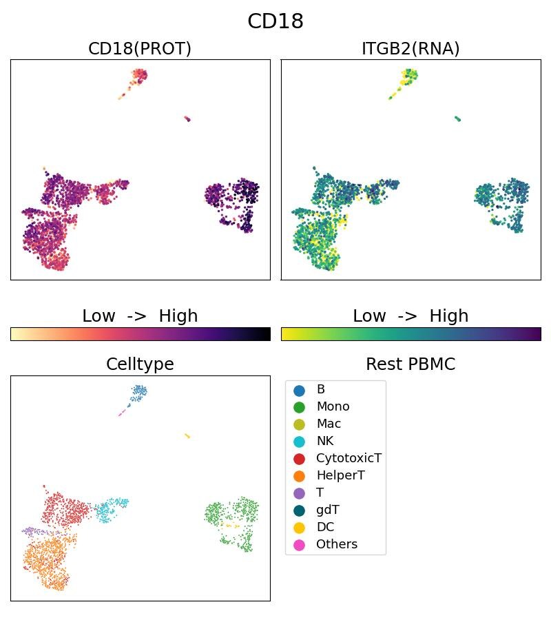 Single Cell Sequencing experiment G65190-1-5C on Resting PBMC