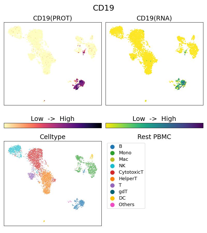 Single Cell Sequencing experiment G65110-1-5C on Resting PBMC