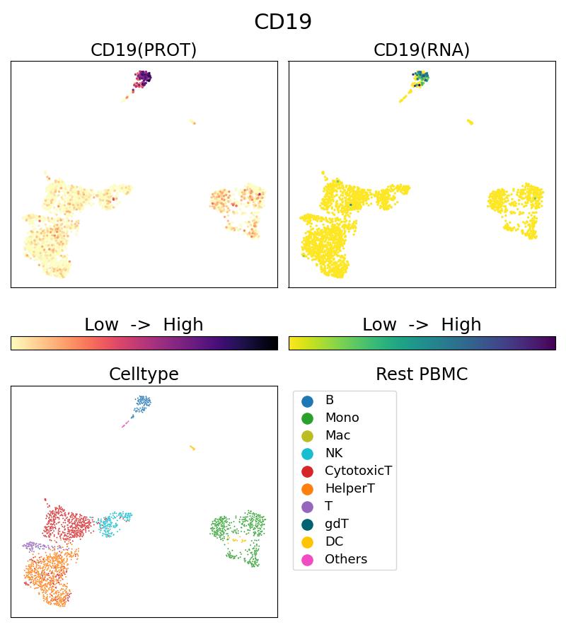 Single Cell Sequencing experiment G65110-1-5C on Resting PBMC