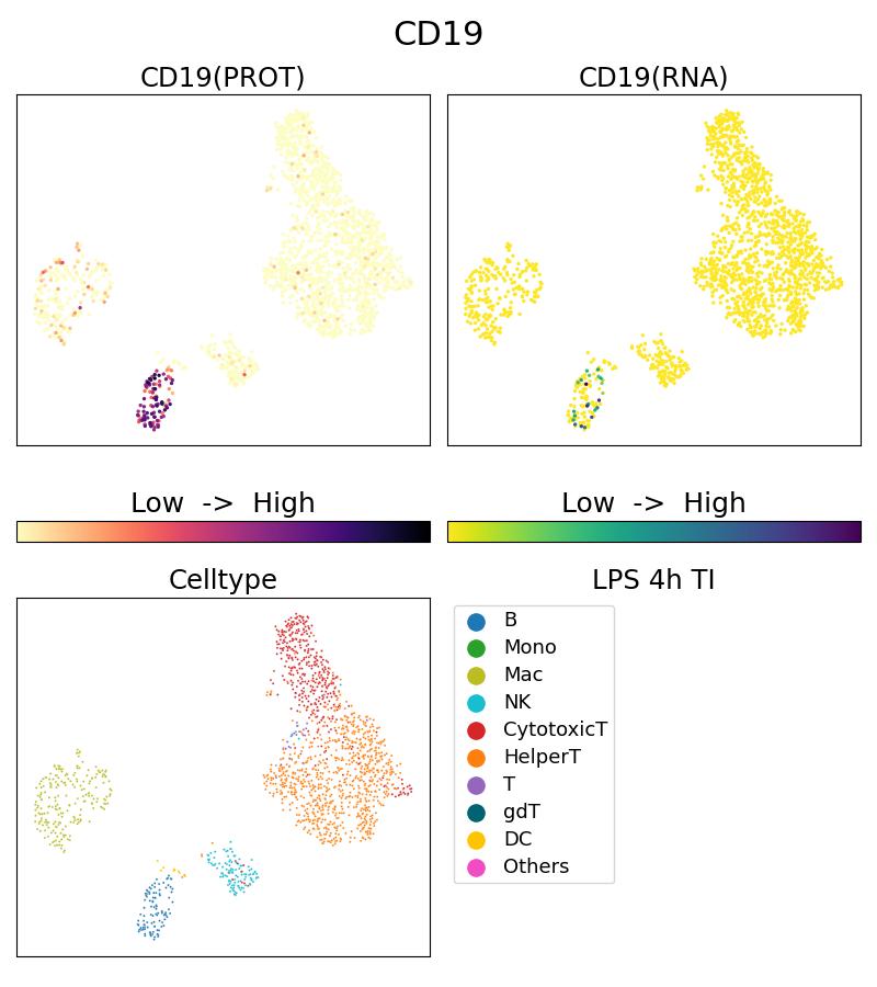 Single Cell Sequencing experiment G65110-1-5C on PBMC treated with 4hr LPS + TI