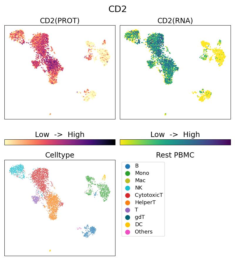 Single Cell Sequencing experiment G65192-1-5C on Resting PBMC