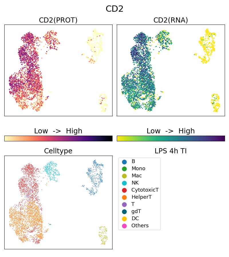 Single Cell Sequencing experiment G65192-1-5C on PBMC treated with 4hr LPS + TI