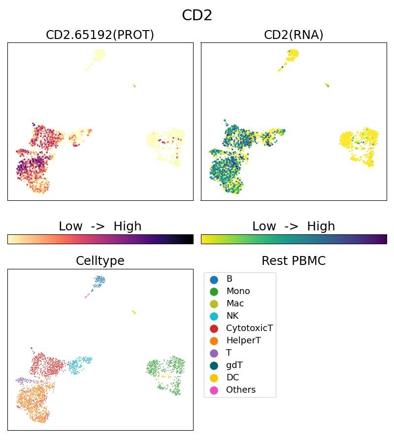 Single Cell Sequencing experiment G65192-1-5C on Resting PBMC