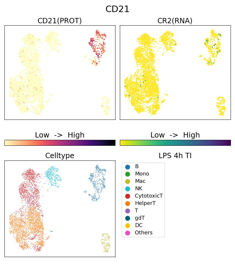 Single Cell Sequencing experiment G65198-1-5C on PBMC treated with 4hr LPS + TI