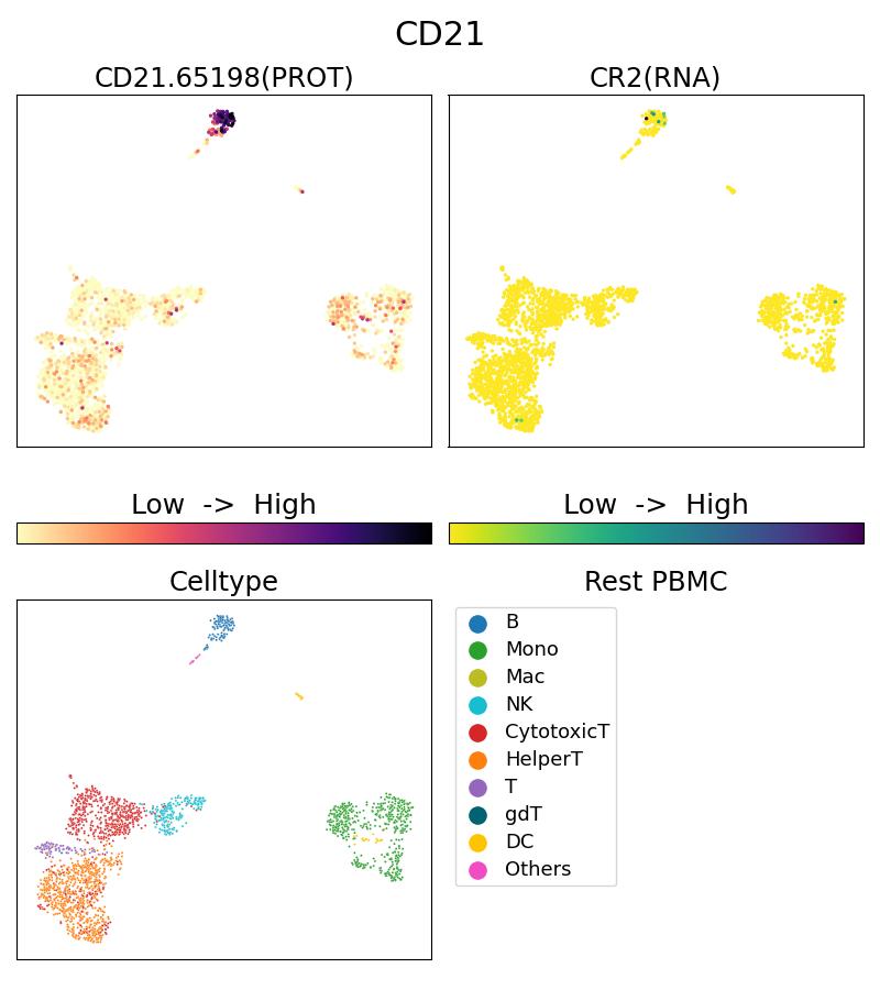 Single Cell Sequencing experiment G65198-1-5C on Resting PBMC