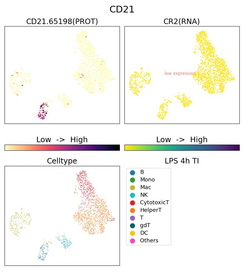 Single Cell Sequencing experiment G65198-1-5C on PBMC treated with 4hr LPS + TI