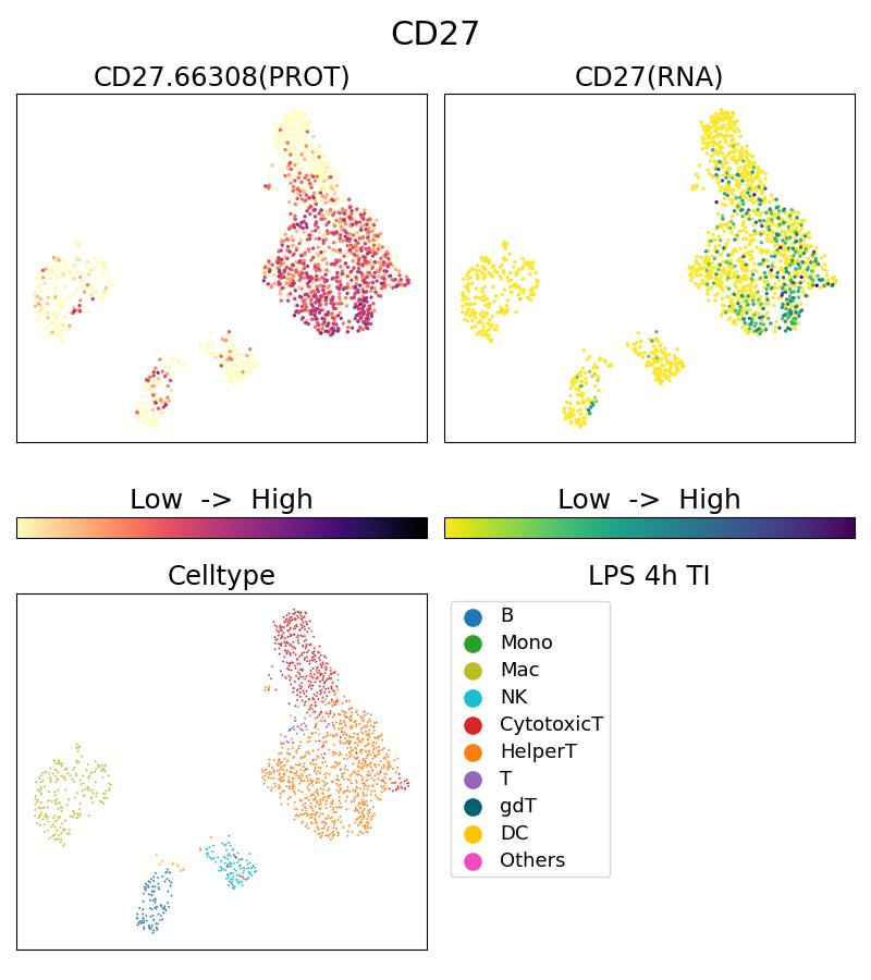 Single Cell Sequencing experiment G66308-1-5C on PBMC treated with 4hr LPS + TI