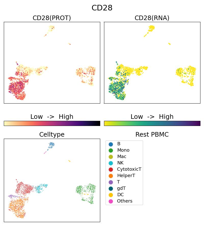 Single Cell Sequencing experiment G65099-1-5C on Resting PBMC