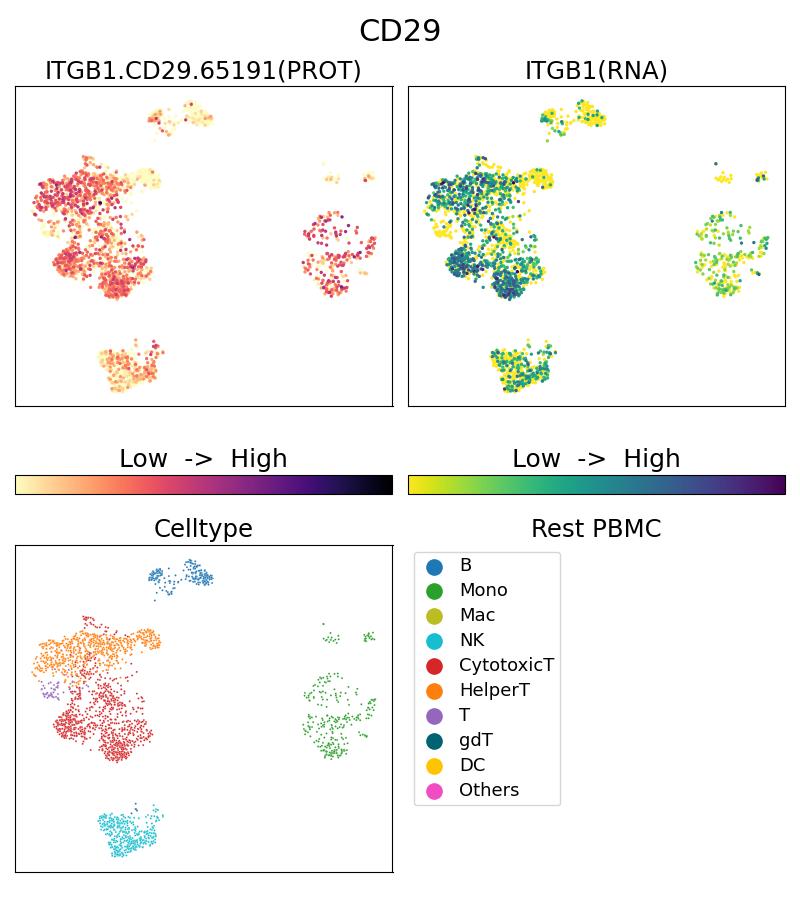 Single Cell Sequencing experiment G65191-1-5C on Resting PBMC