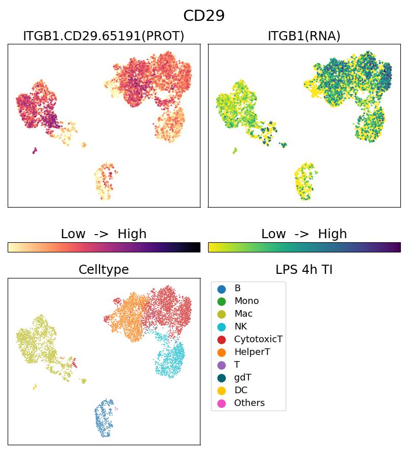 Single Cell Sequencing experiment G65191-1-5C on PBMC treated with 4hr LPS + TI