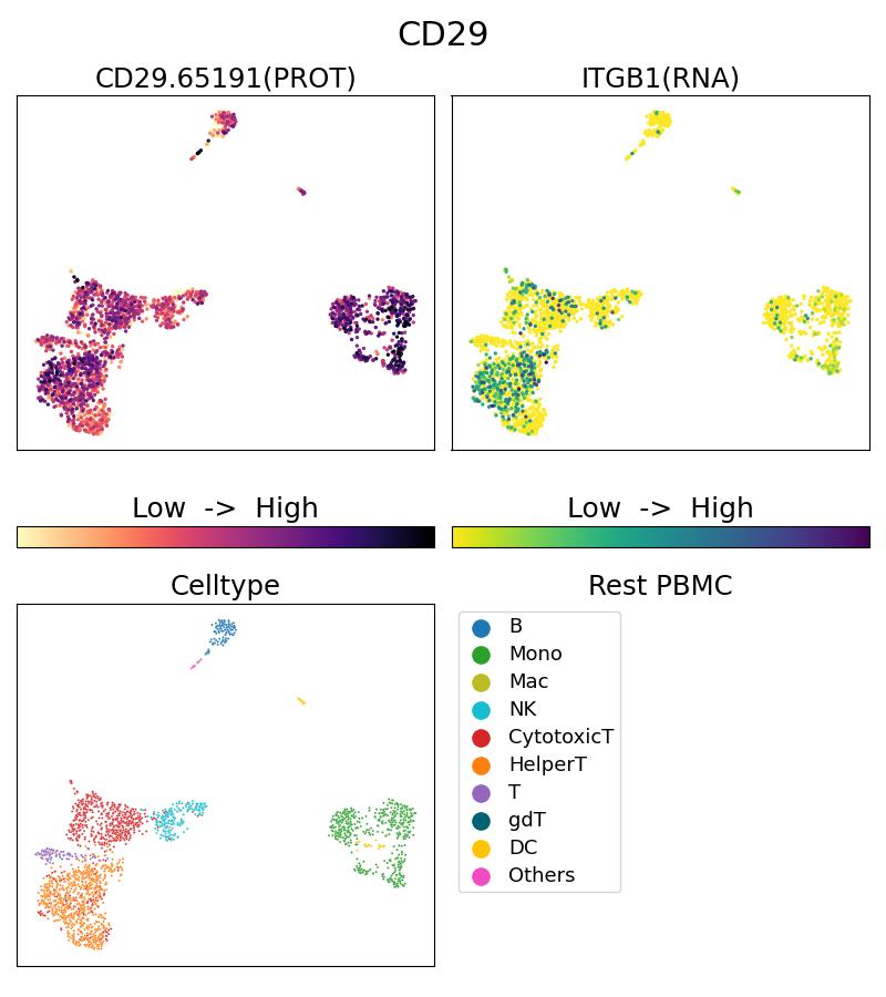 Single Cell Sequencing experiment G65191-1-5C on Resting PBMC