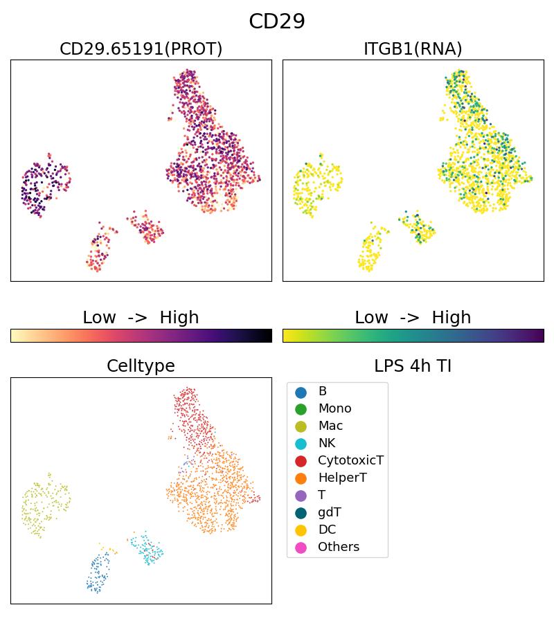 Single Cell Sequencing experiment G65191-1-5C on PBMC treated with 4hr LPS + TI