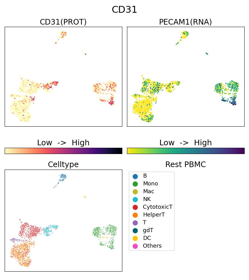 Single Cell Sequencing experiment G66065-2-5C on Resting PBMC