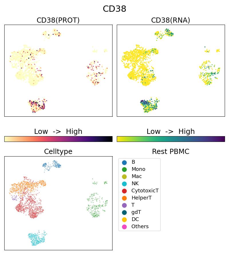 Single Cell Sequencing experiment G65111-1-5C on Resting PBMC