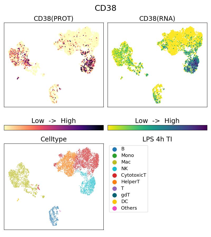 Single Cell Sequencing experiment G65111-1-5C on PBMC treated with 4hr LPS + TI