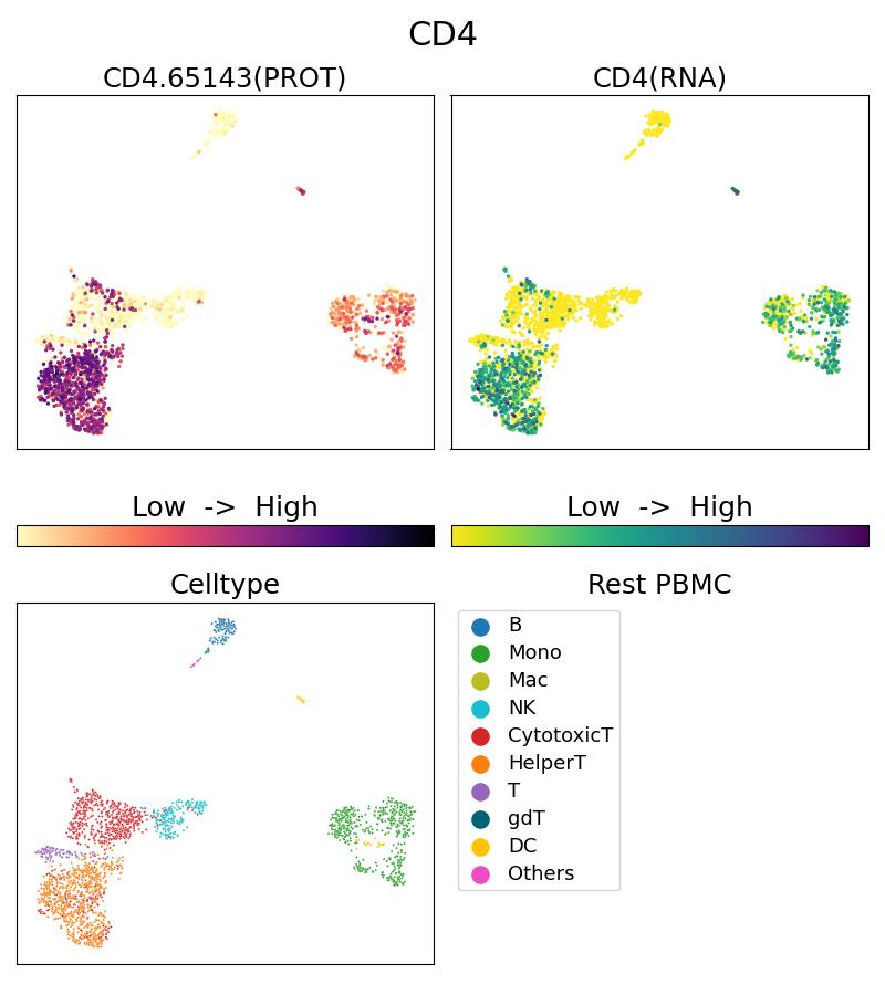 Single Cell Sequencing experiment G65143-1-5C on Resting PBMC