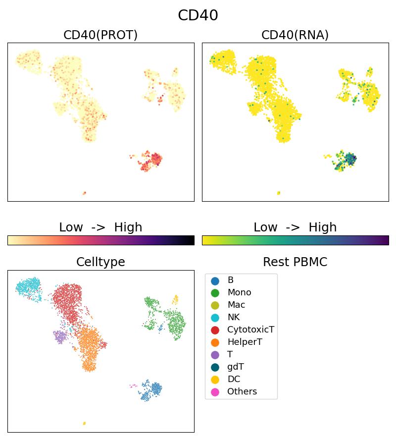 Single Cell Sequencing experiment G65103-1-5C on Resting PBMC