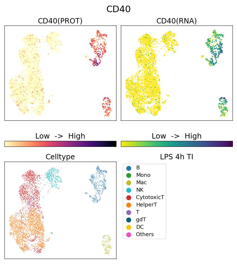 Single Cell Sequencing experiment G65103-1-5C on PBMC treated with 4hr LPS + TI