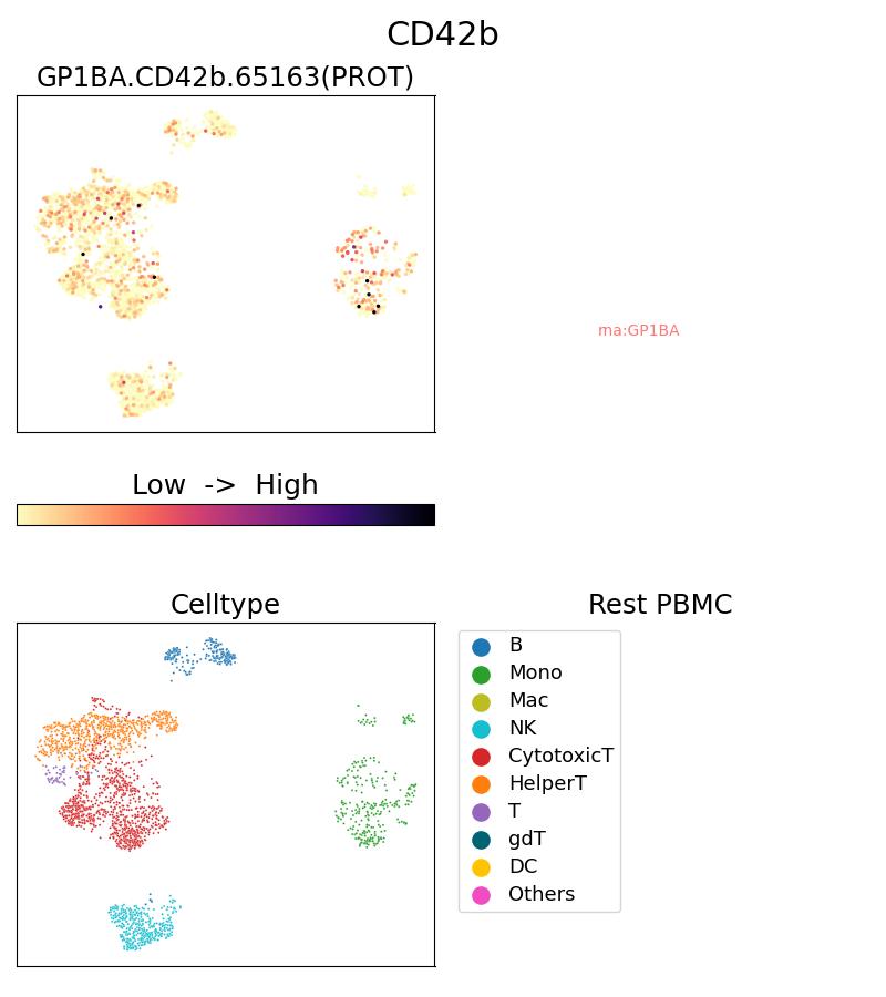 Single Cell Sequencing experiment G65163-1-5C on Resting PBMC