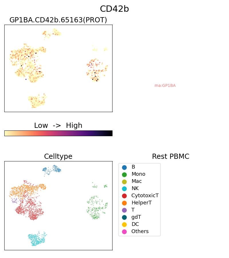 Single Cell Sequencing experiment G65163-1-5C on Resting PBMC