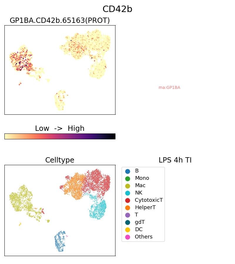 Single Cell Sequencing experiment G65163-1-5C on PBMC treated with 4hr LPS + TI