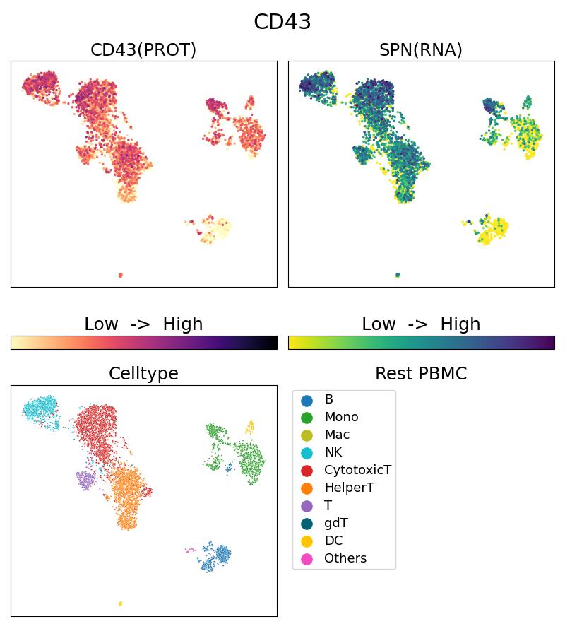 Single Cell Sequencing experiment G66224-1-5C on Resting PBMC