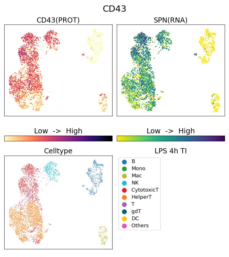 Single Cell Sequencing experiment G66224-1-5C on PBMC treated with 4hr LPS + TI