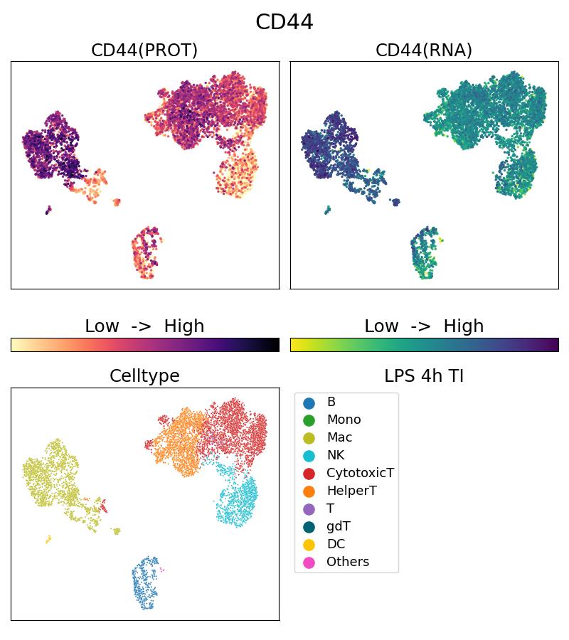 CD44