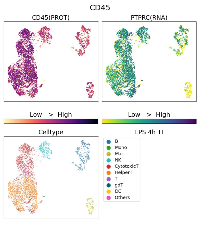 Single Cell Sequencing experiment G65109-1-5C on PBMC treated with 4hr LPS + TI