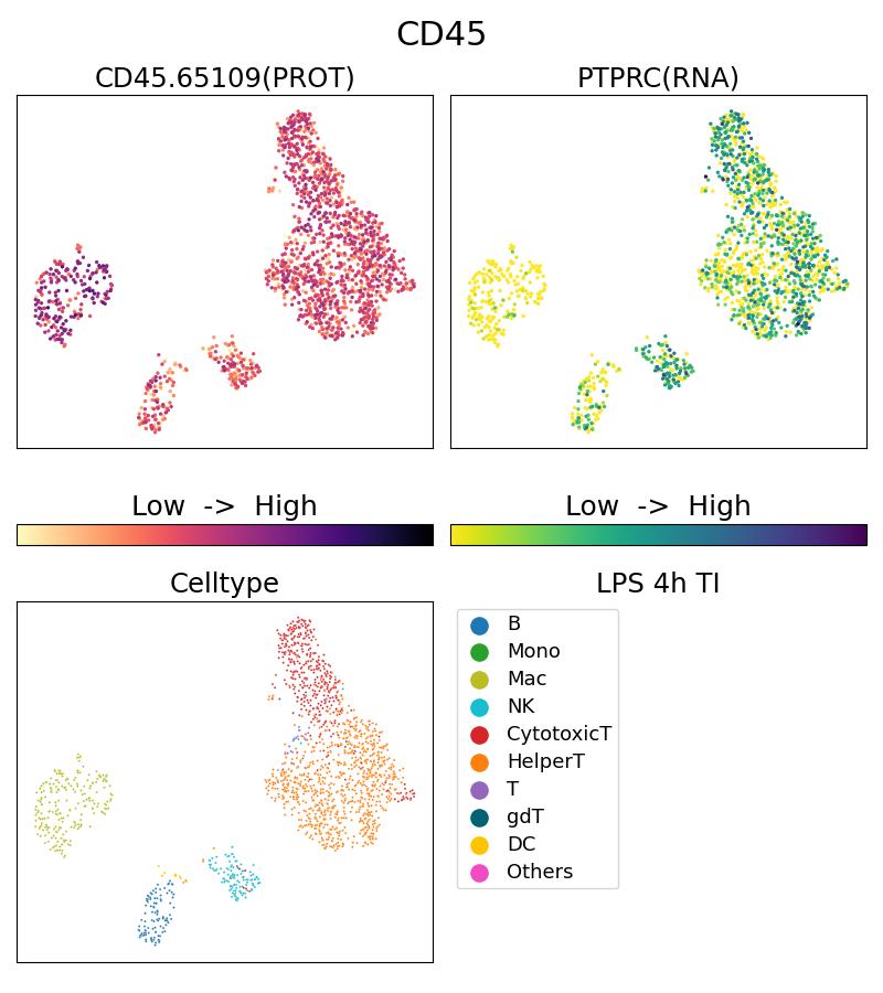 Single Cell Sequencing experiment G65109-1-5C on PBMC treated with 4hr LPS + TI