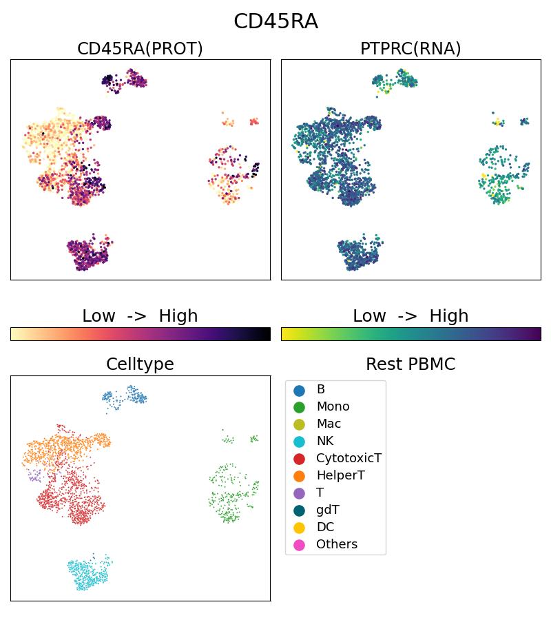 Single Cell Sequencing experiment G65226-1-5C on Resting PBMC