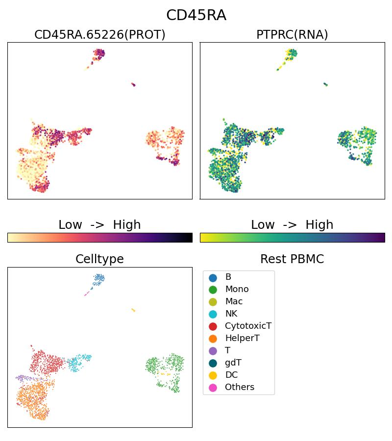 Single Cell Sequencing experiment G65226-1-5C on Resting PBMC