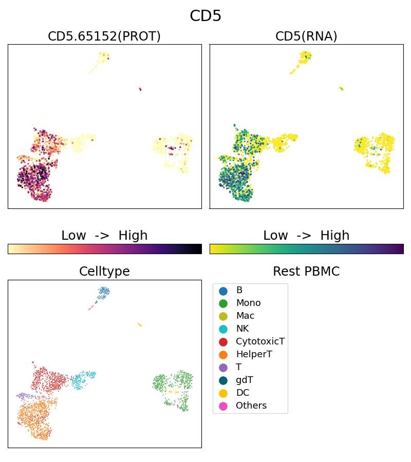 Single Cell Sequencing experiment G65152-1-5C on Resting PBMC