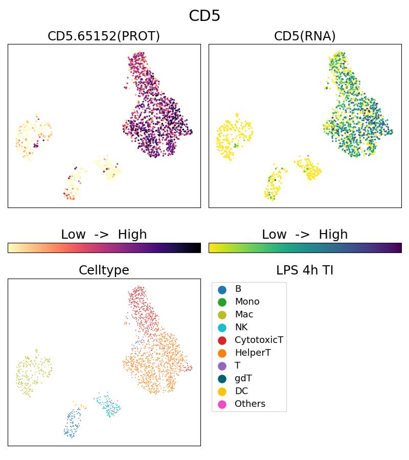 Single Cell Sequencing experiment G65152-1-5C on PBMC treated with 4hr LPS + TI