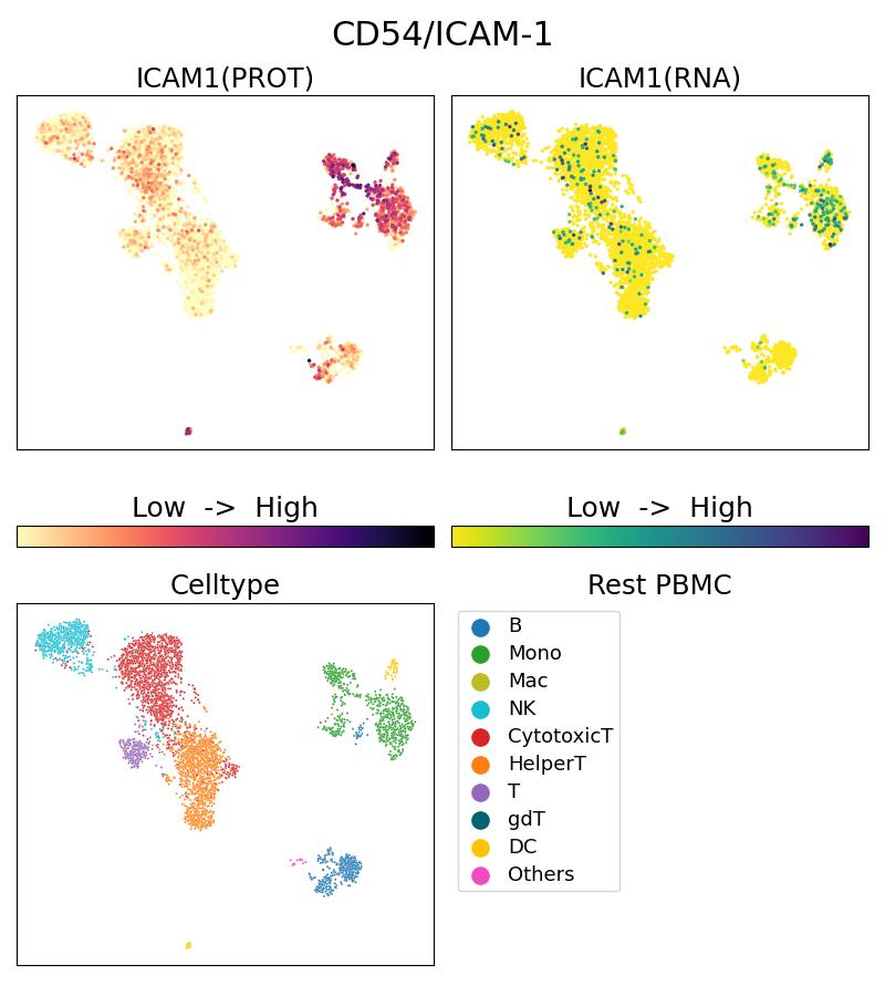 Single Cell Sequencing experiment G65075-1-5C on Resting PBMC