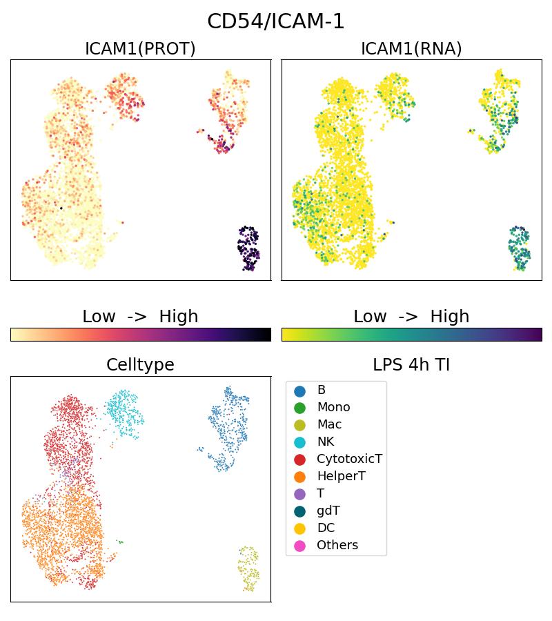 Single Cell Sequencing experiment G65075-1-5C on PBMC treated with 4hr LPS + TI